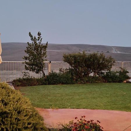 Desert Call Villa Арад Екстериор снимка